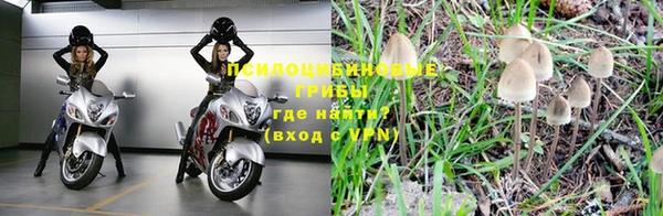 индика Абдулино